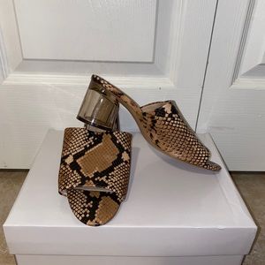 Zara Snake Print Mules w/ Clear Heel